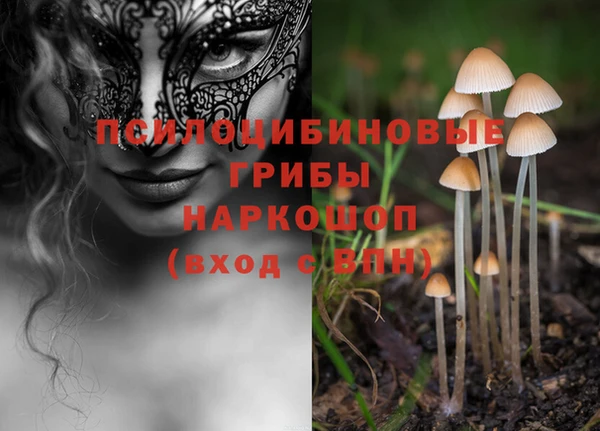 jwh Нефтекумск
