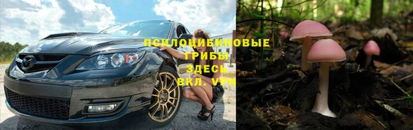 прущая мука Надым