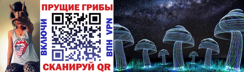 что такое наркотик  mega ссылка  Галлюциногенные грибы Magic Shrooms  площадка официальный сайт  Орлов 